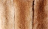 Furs