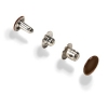 Click here for a larger image